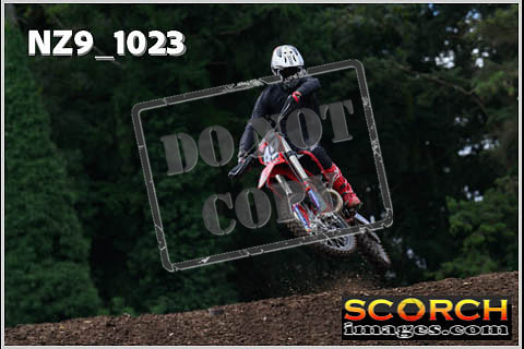 Experts-102