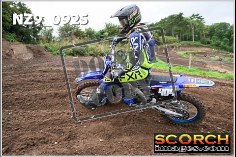 Intermediates-031