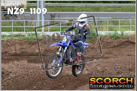 Intermediates-099