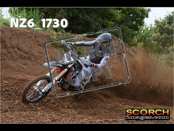 Experts-046