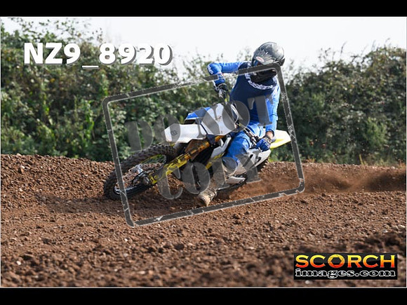 Experts-120