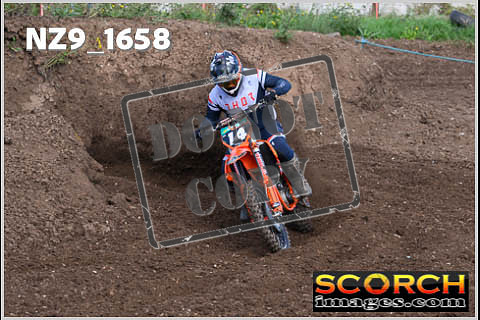 Experts-027