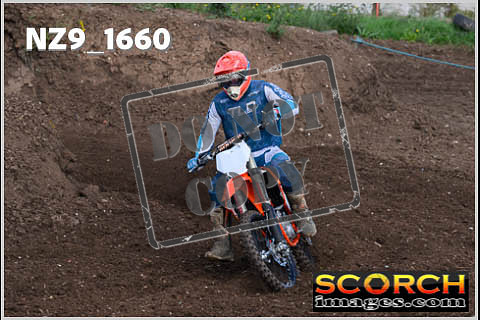 Experts-029