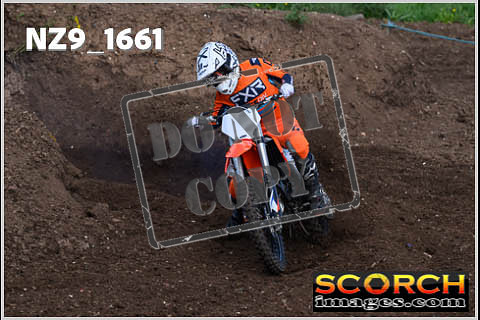 Experts-030