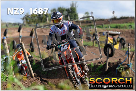 Experts-054
