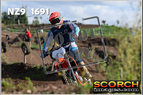 Experts-058