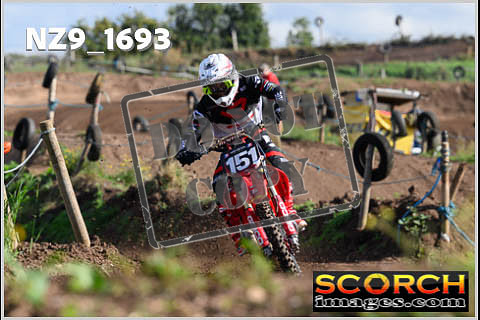 Experts-060