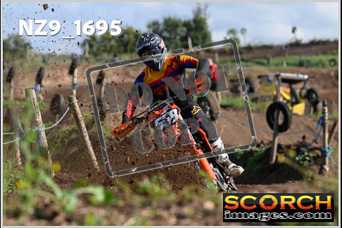 Experts-062