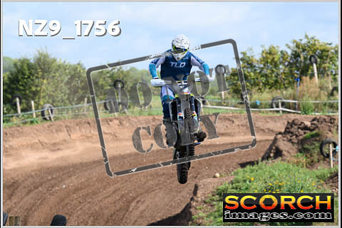 Experts-119