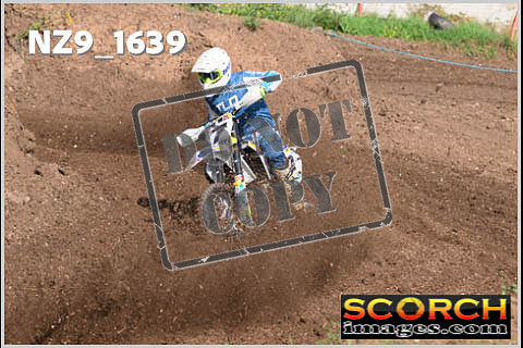 Experts-008