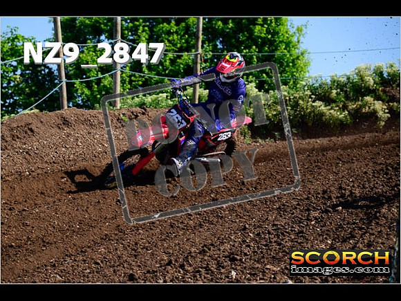 Experts-022