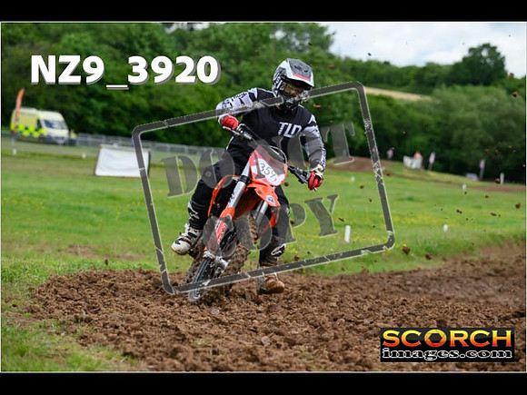 Experts-030