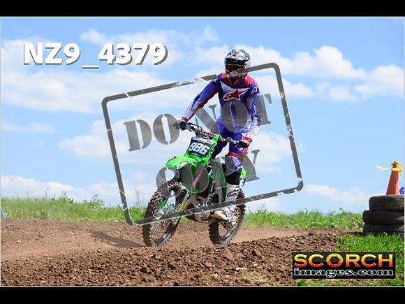 InterGreen-278