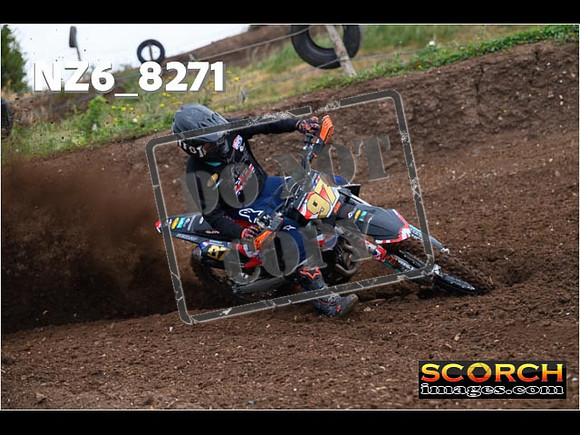 Experts-029
