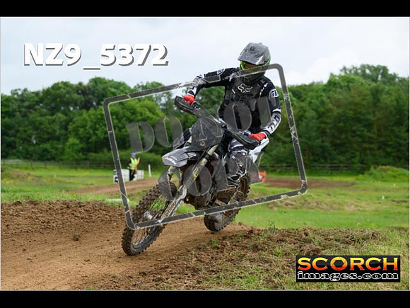 Experts-307