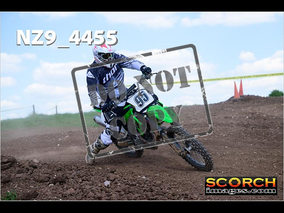 InterGreen-352