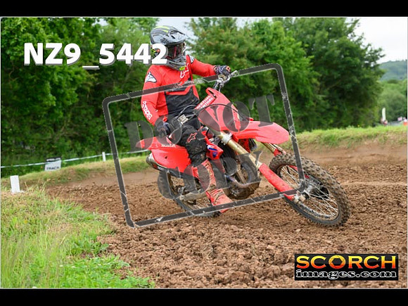 Experts-373