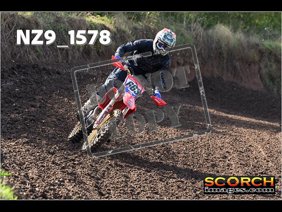 Experts-260