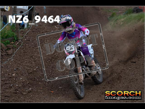 Experts-229