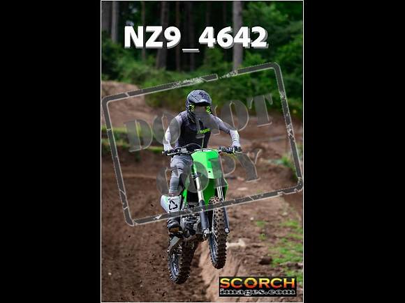 IntersGreen-081