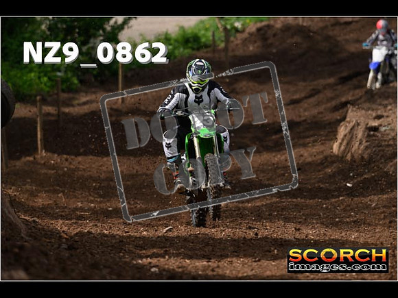 IntersGreen-392