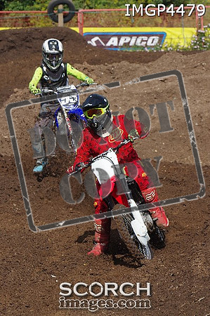 IMGP4479