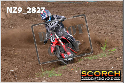 Apex Wed 23-08-23-035