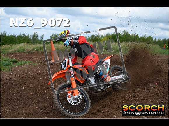 Experts-137