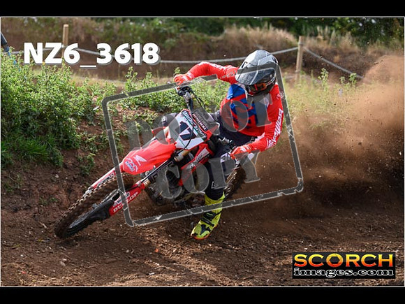 Experts-045