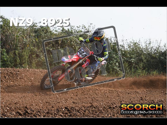 Experts-124