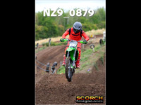 IntersGreen-006