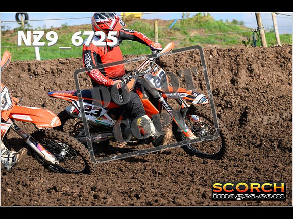 Experts-119