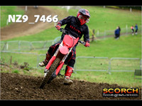 Experts-014