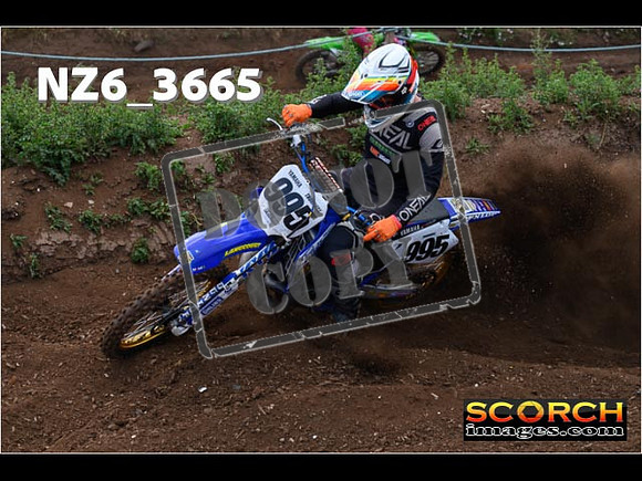 Experts-091