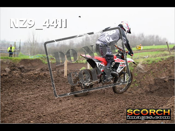 Experts-255