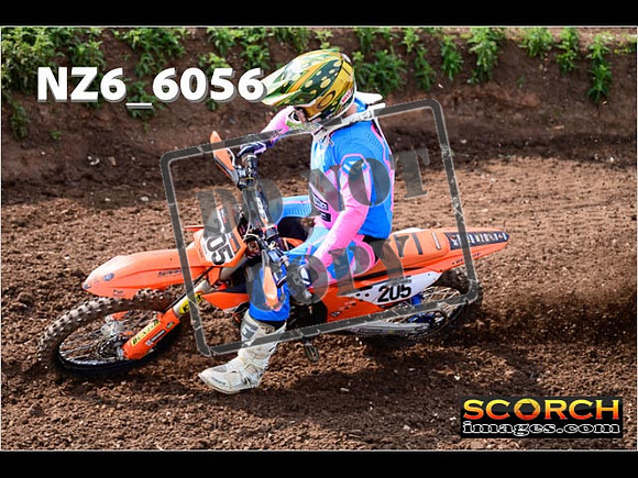 Experts-099