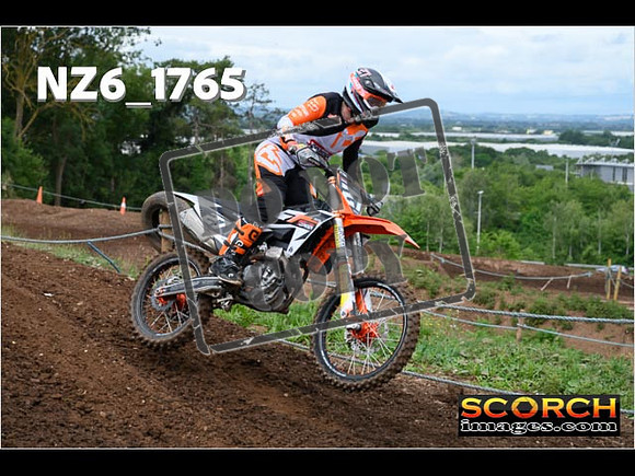 Experts-081