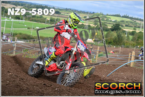 Intermediates-011