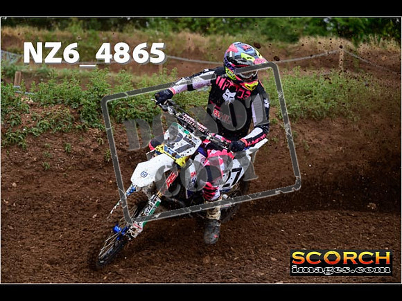 Experts-061