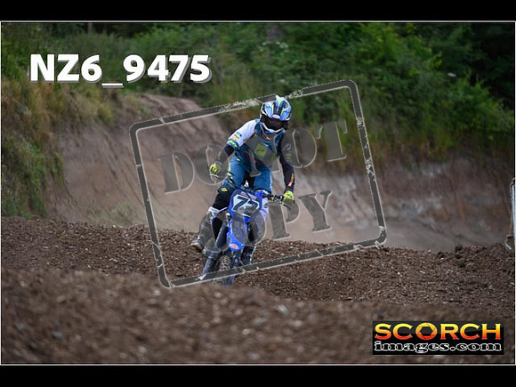 Experts-239