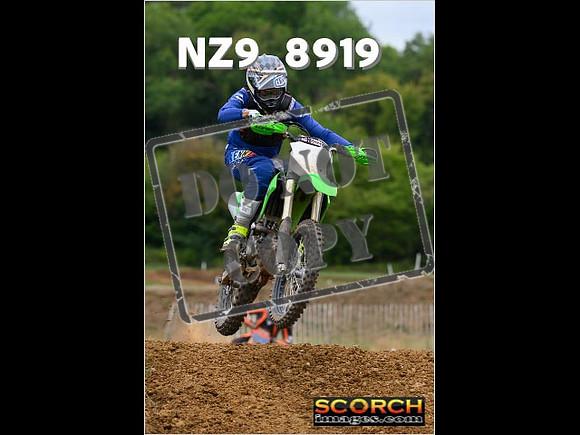 Experts-136