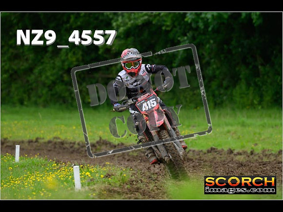 Experts-273