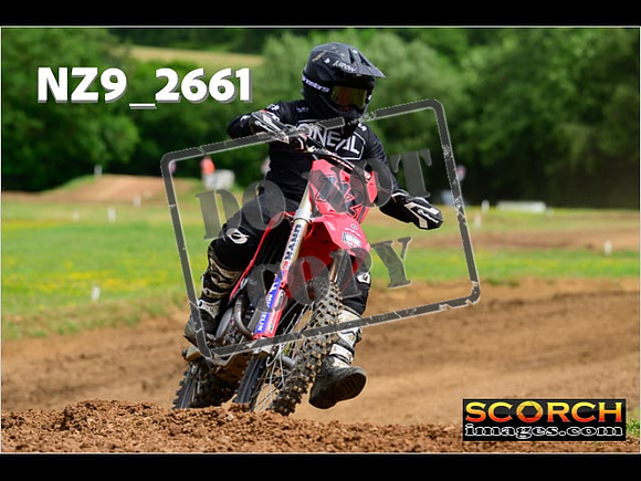 Novice-250