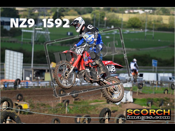 Experts-274