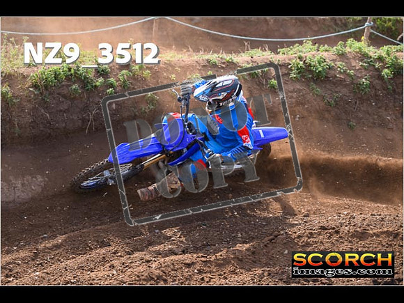 Experts-079