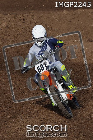 IMGP2245
