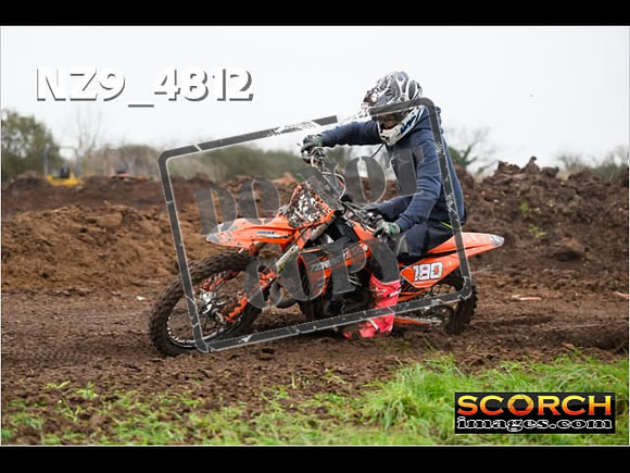 Experts-288