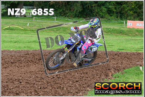 Experts-028