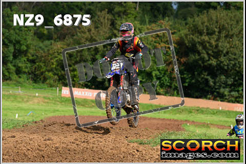 Experts-067