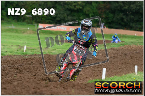 Experts-082